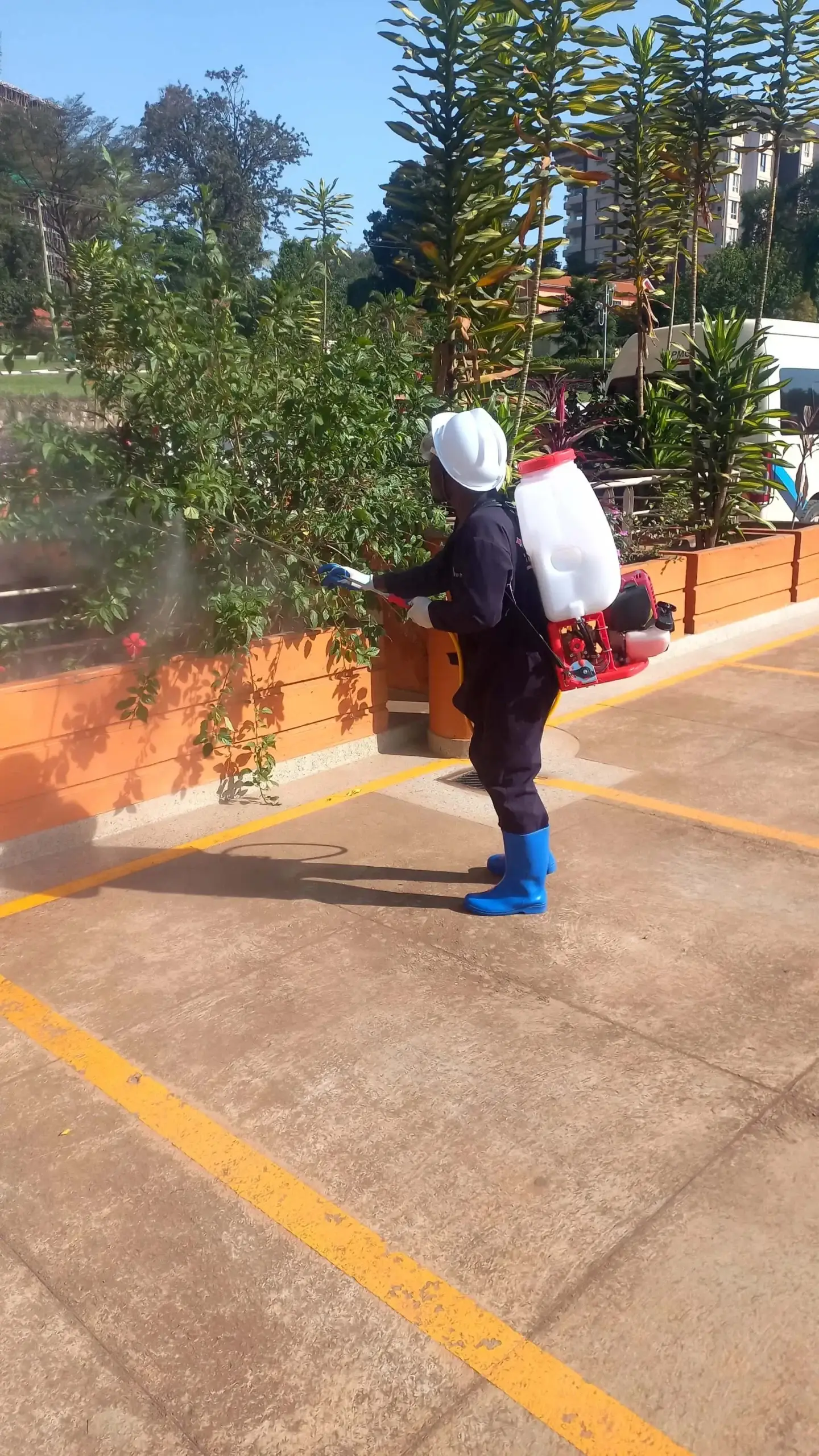 Home 9 aspire cleaners fumigation service scaled