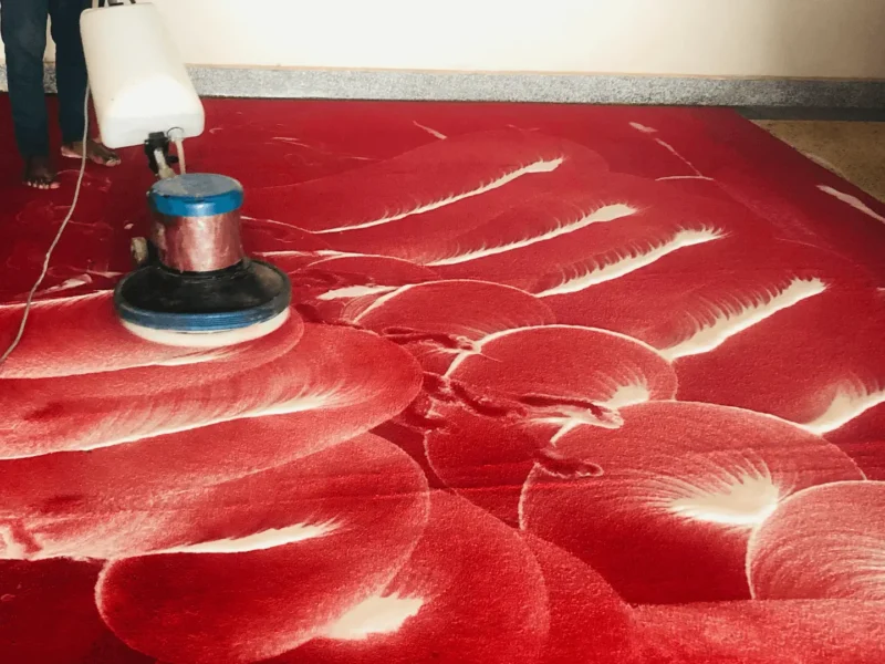 Professional Carpet Cleaning Services in Uganda