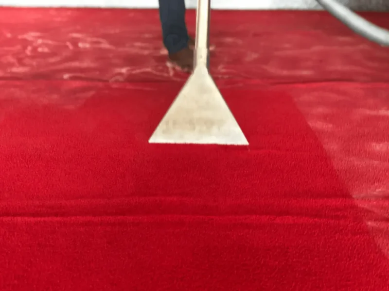 Carpet sanitizing service by Aspire Cleaners Kampala