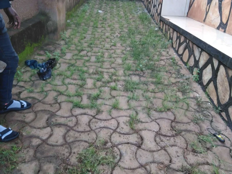 IMG_20210516_073755 (1)