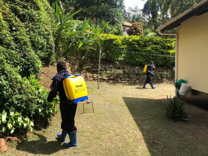 WhatsApp Image 2022-10-18 at 8.17.50 AM