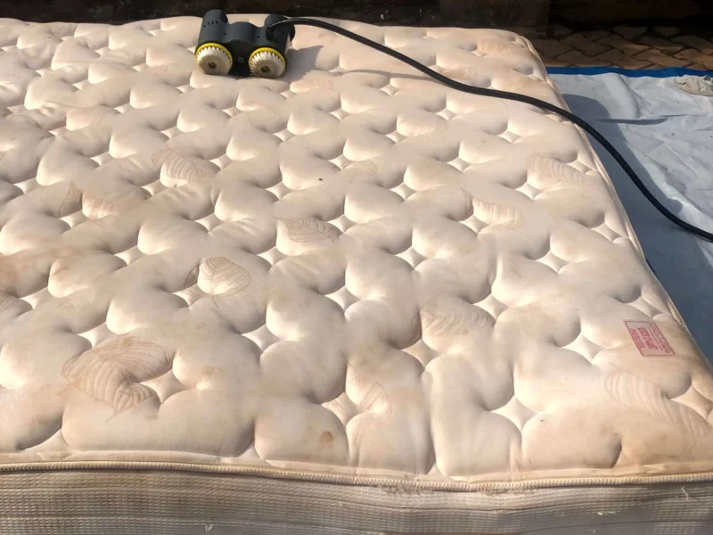 mattress-allergy-treatment-cleaning