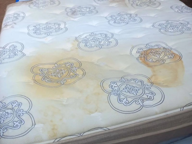 mattress-allergy-treatment-cleanings