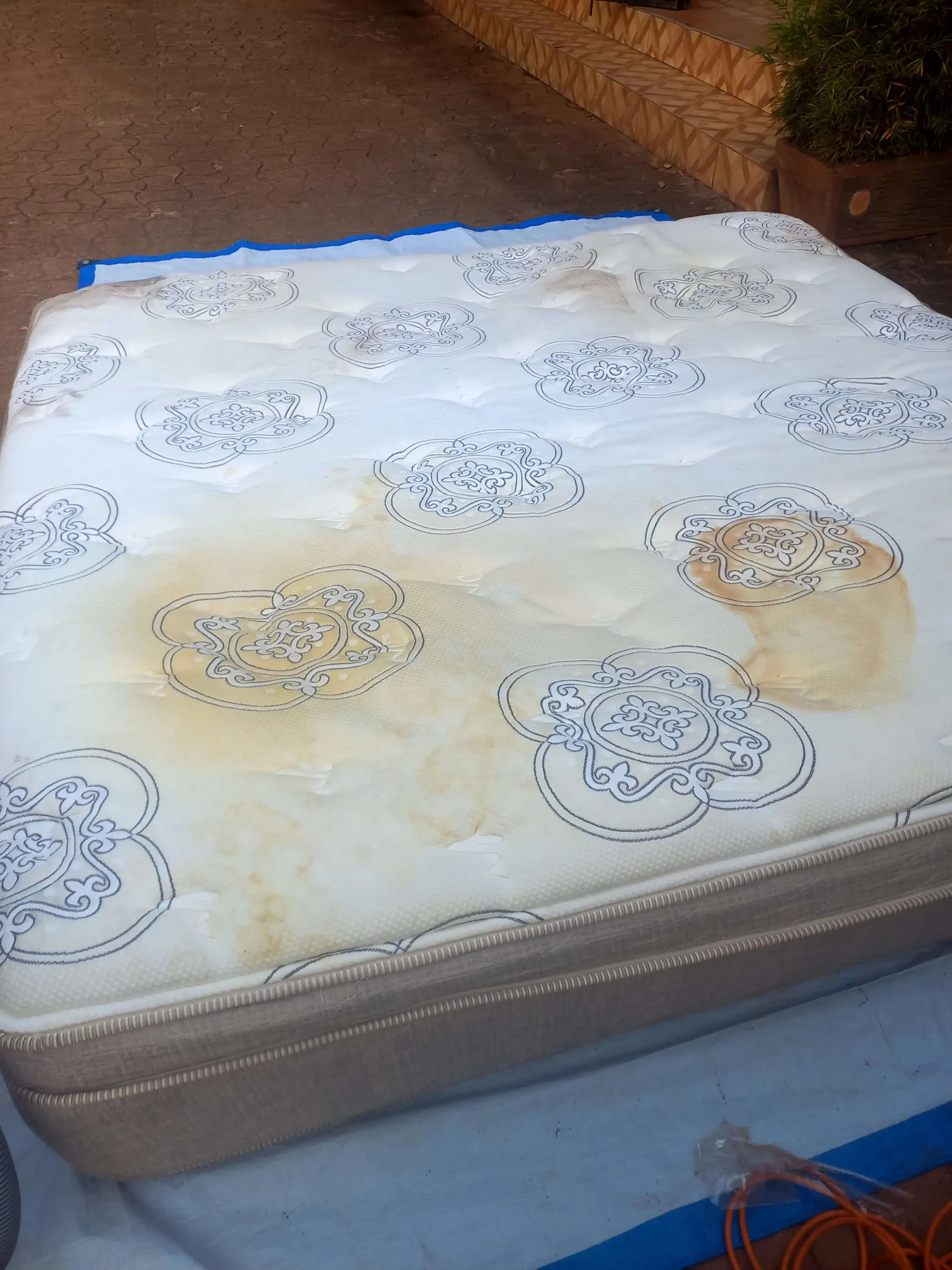 mattress-allergy-treatment-cleanings mattress-allergy-treatment-cleanings