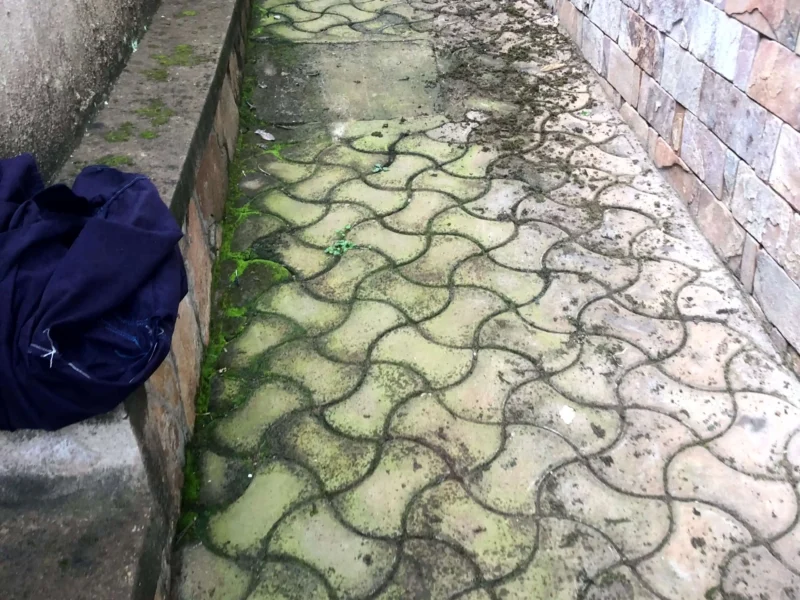 pressure-washing-pavers-and-driveway