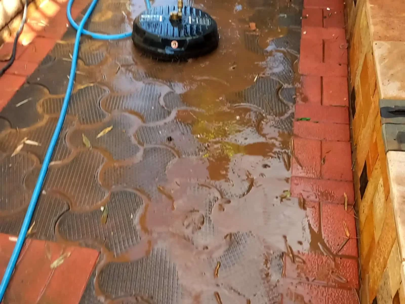 Paver Cleaning 1 (2)