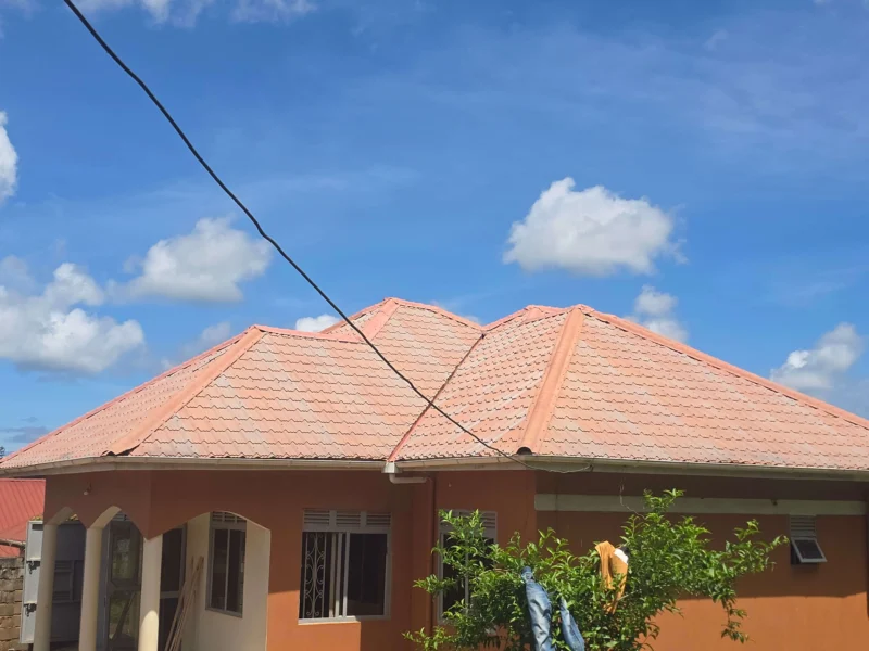 Roof Cleaning