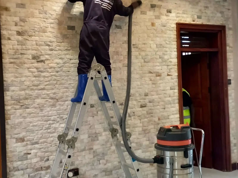Stone Cleaning