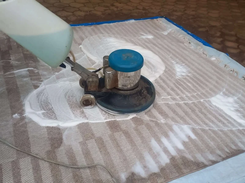 carpet-stain-removal-service