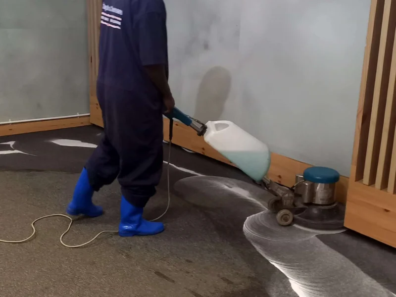 eco-friendly-carpet-cleaning