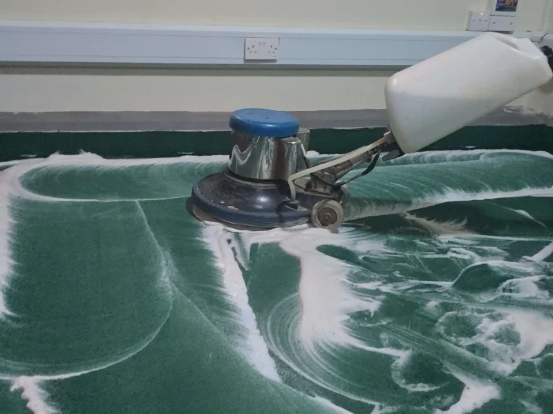 professional-carpet-steam-cleaning